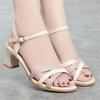 2024 New Women Sandals Waterproof Platform Word Buckle High Heels Summer New Fish Mouth Sexy Sandals Ladies Shoes Gold