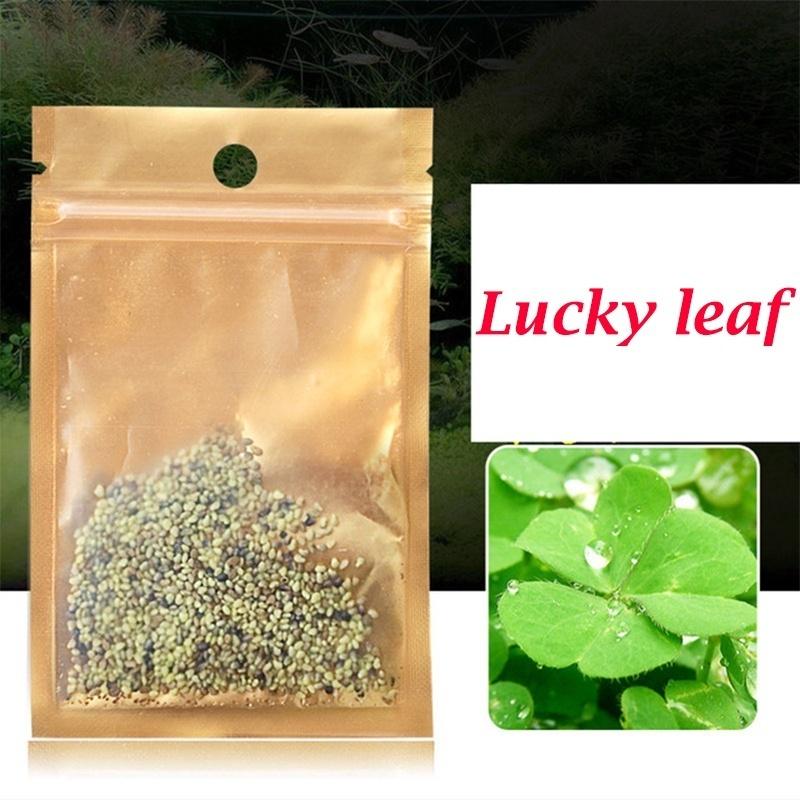smallest plant pot Exotic Angel Clean Air Three Pack