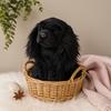 Jucărie de pluș realistă Cocker Spaniel Englezesc Câine 25 cm Câine de vânătoare realist Jucărie umplută Pui moale Cadou pentru copii Decorațiune pentru casă