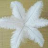 10Pcs 25-30cm Large Ostrich Feather Plume Costume Wedding Xmas Party Decoration