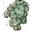 1pc Artificial Plant Green Dill Flower Rattan Leaves Party Home Decor Turtle Leaf Wedding Festival Decoration Fake Flowers