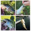 Soft Lures Simulation Spinner Bait 12cm/10.2g 15cm/18.5g Sea Fishing Fake Lure Bait Fishing Tackle