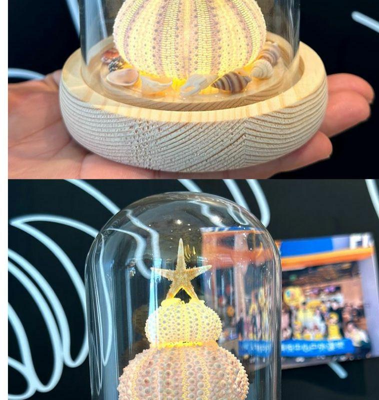 DIY Luminous Sea Urchin Night Light Kit - Birthday Gift for Girlfriend