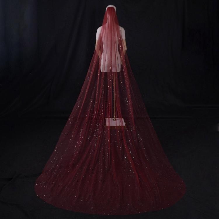 Delicate Lace Tulle Bride Veil Overlength Gilding Veil for Woman Marriage