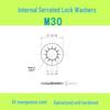 M3-M30 Blackened 65 Manganese Steel Multi-Tooth Inner Lock Washer (GB861.2)