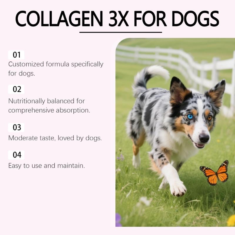 Kollagen-Tropfen-Nahrungsergänzungsmittel für Hunde 60ml Flüssigkeit Verbessert Haut Gesunde Fell Glanz Gelenkflexibilität Und Reparatur