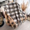 Sciarpa Spessa Calda Invernale di Lusso Donna Sciarpa e Coprispalle in Cashmere Pashmina Foulard Bufanda Donna Lunga con Nappe Echarpe