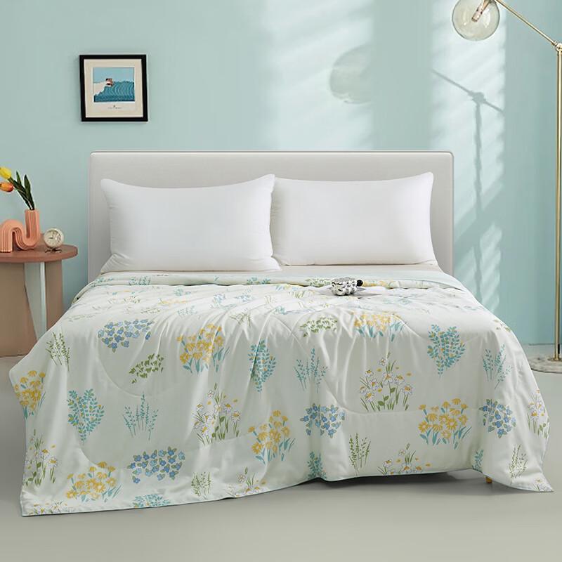 Taihu Snow Ice Oxygen Tencel Tussah Silk Summer Duvet