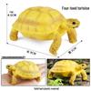 Cross-Border Children's Cognitive Amphibian & Reptile Tortoise Model Fish Tank Ornament Toy
