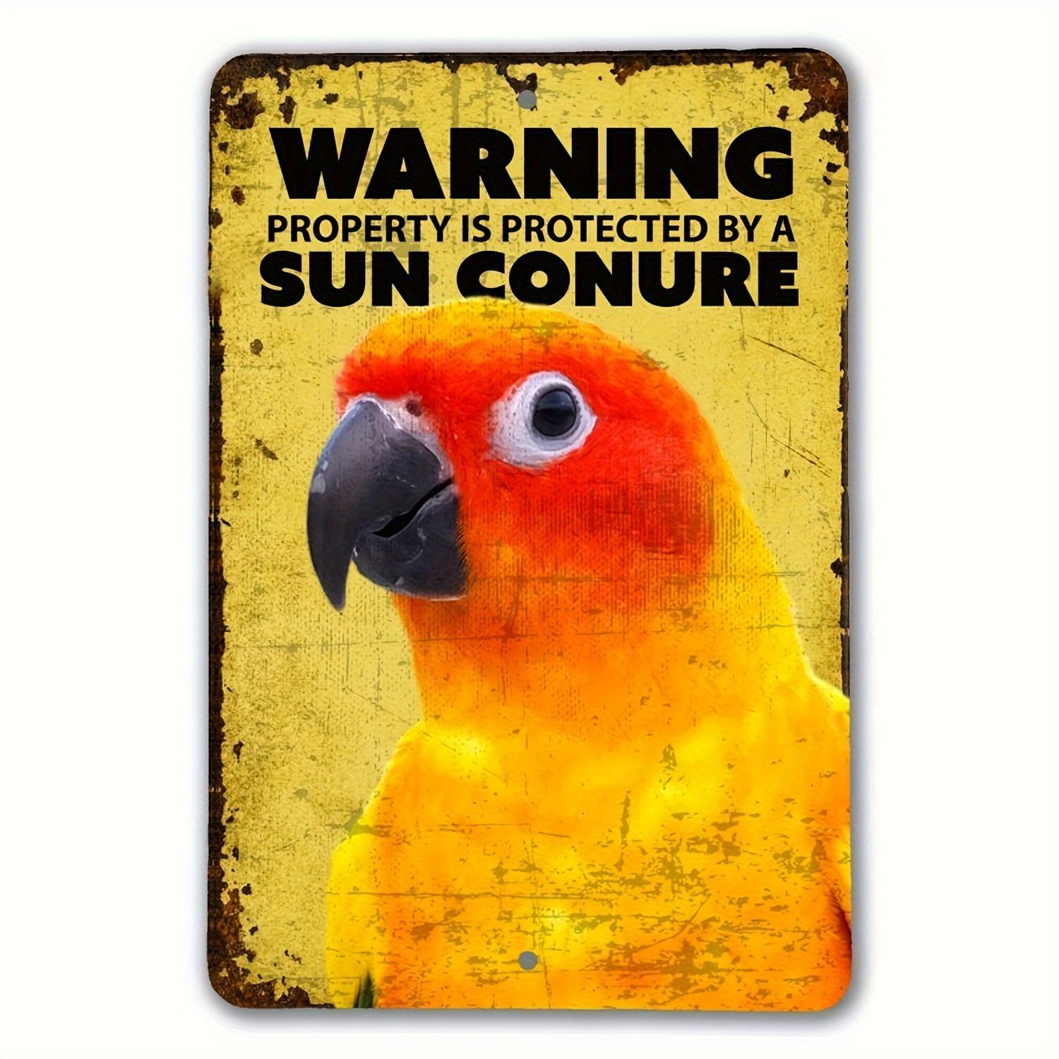 Funny Sun Conure Parrot Warning Sign  Vintage Metal Wall Decor with Protected by Sun Conure Text  No Batteries Needed  Indo 20x30cm（7.8x11.8inch）