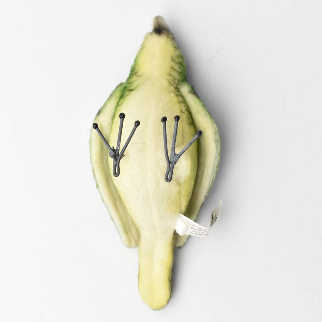 BH7476 HANSA Bush Warbler 7