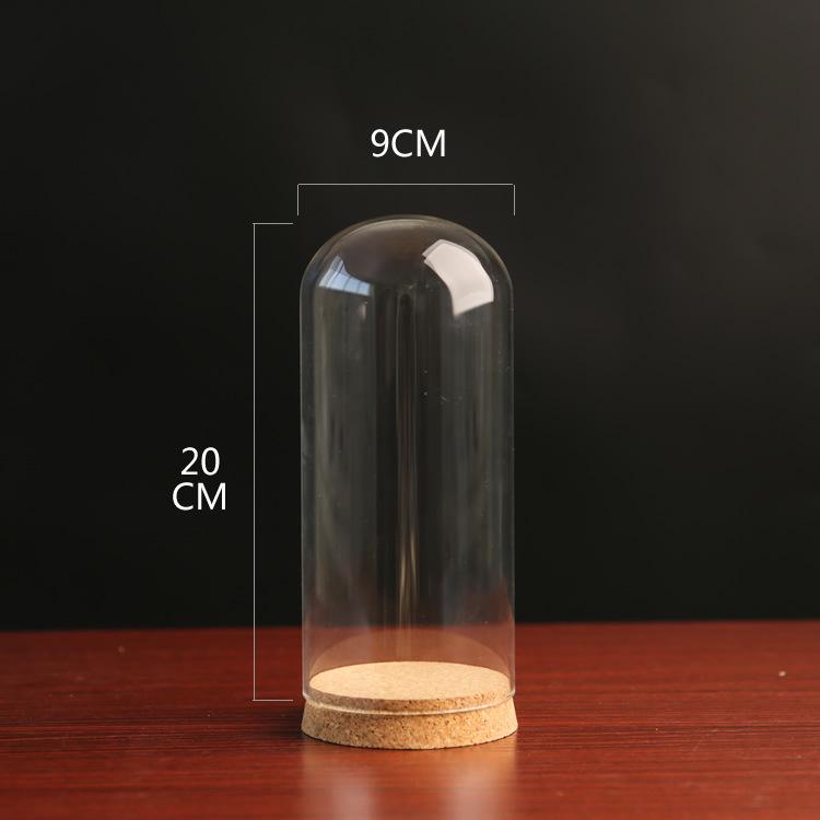 Dustproof Glass Cover for Preserved Flower Display, Clay Figures & Felt Dolls
