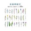 Moin Moin Bookmark Set - Watercolor Pressed Flowers & Leaves (30 Pcs) - Violet, Rose, Tulip & More - Message Card Friendly