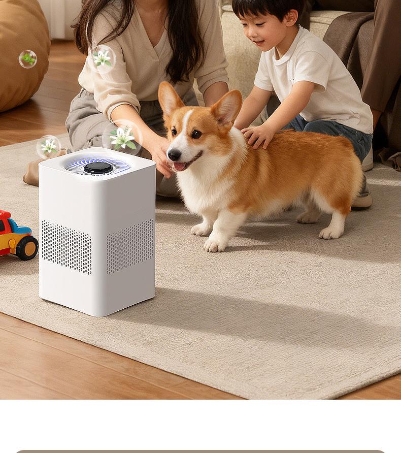 USB Air Purifier: Negative Ion, Formaldehyde & Odor Removal, Indoor Deodorizer