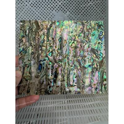Natural Paua Abalone Flat Shell Inlay Material Slab Mother of Pearl Inlay Veneer Luthier Supply DIY Project Handicraft Materials