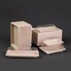 Disposable Sushi Box Home Takeaway Packaging Box Environmentally Friendly And Biodegradable Rectangular Sushi Plate Meal Box