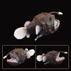Educational Marine Animal Models Simulation Ocean Animal Simulation Ocean Animal Model  Kids Gifts