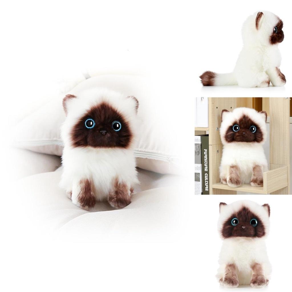20cm/26cm Siamkatze Plüschtier Niedlich Weich Geschenk Blaue Pailletten Augen Puppen