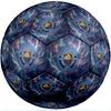 Pallone da calcio tema Manchester City Taglia 5 Pallone da calcio Tocco Morbido Pallone da calcio professionale per allenamento per sport all'aperto