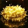 Outdoor LED Starry Sky String Lights - Santa Claus Holiday Party Decor