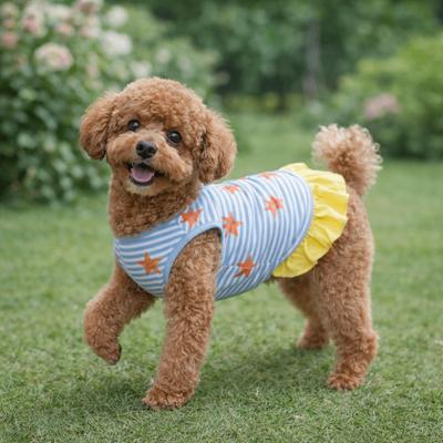 Kleding en schoenen – Vesten en shirts voor honden
