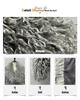 2025 Winter Women's Faux Fur Fleece Coat - European & American Style Imitation Lambskin Top