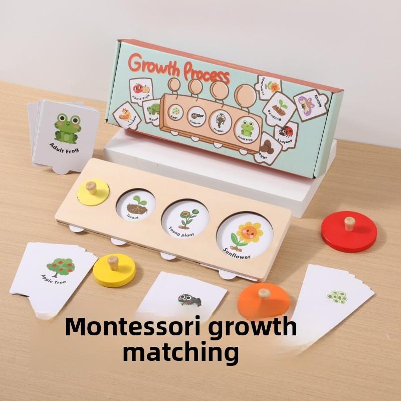 Growth Cycle Montessori Puzzle Wooden Educational Toy For Preschool Learning