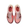 Nike Kiger 10 Trailrunning-Schuhe Herren FV3929-600