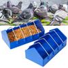Thickened Bird Pigeon Feeder Trough Poultry Feeding Bowl Chicken Chick Food Water Fountain Slot Container Food Dispenser Tools
