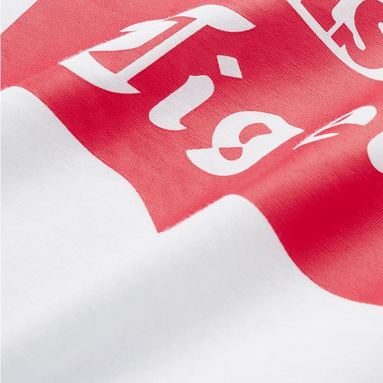 ONITSUKA TIGER Printed Round Neck Drop Shoulder Short Sleeve T-Shirt Unisex Tops 2183B453-101