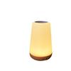 13-Color Wood Grain LED Night Light: Creative USB Rechargeable Bedside Lamp for Camping & Bedroom Atmosphere
