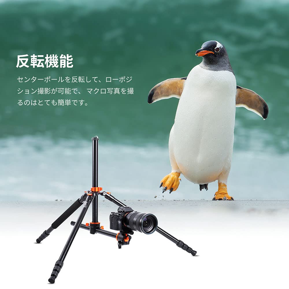 Concept S254T 49cm Horizontal Inverted Center Adjustable Low Center of Quick Nut Lock K&F Tripod, 238cm, 4-Section, Axis, Bird's-Eye View, 360-Degree