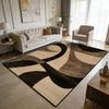 Modern Light Luxury Style Large Living Room Rugs Curve Art Decoration Home Machine Washable Carpet Bedroom Baby Crawling Mat