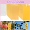 Insect Trap Pe Sticky Board With Dualside High Adhesion For Agriculture Pest Control