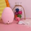 Silicone Electric Facial Cleansing Brush with Facial Vibration Cleanser