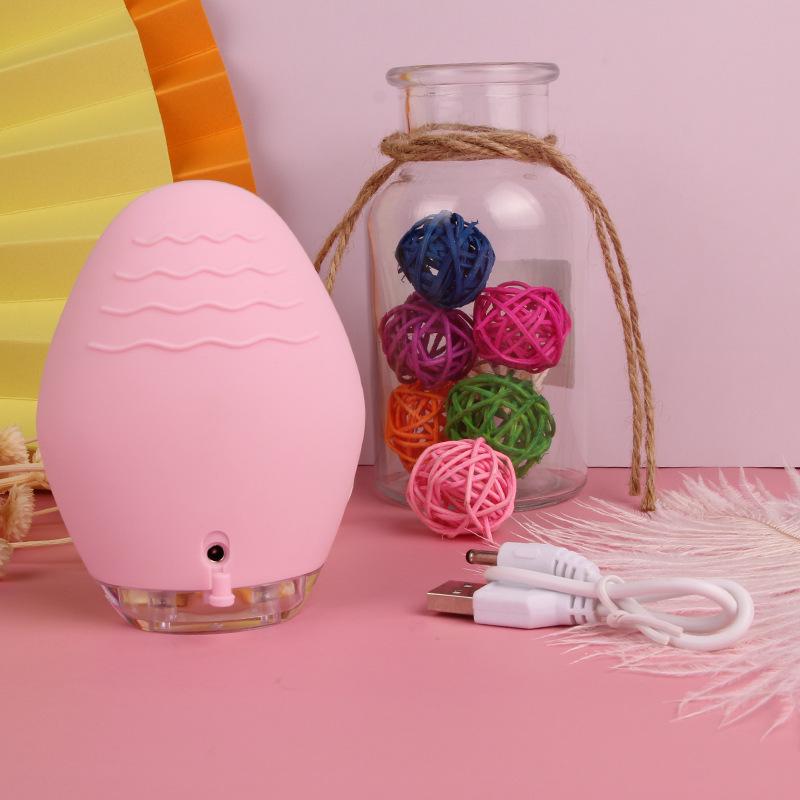 Silicone Electric Facial Cleansing Brush with Facial Vibration Cleanser