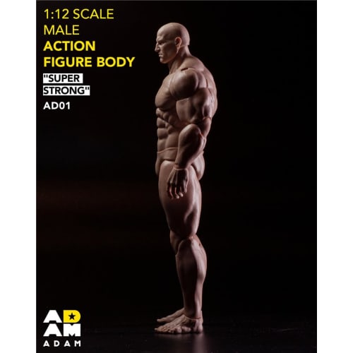Toys & Hobbies TOYBARJAPAN 1/12 Scale Action Figure ADAM AD01 Manga-Style Muscle Man's Male Body