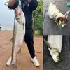 1Pcs 3.5-15G Metal Spinner Fishing Bait Vib Spoon Fishing Lure Crankbait Bass Artificial Hard Baits Cicada Vib Fishing Tackle