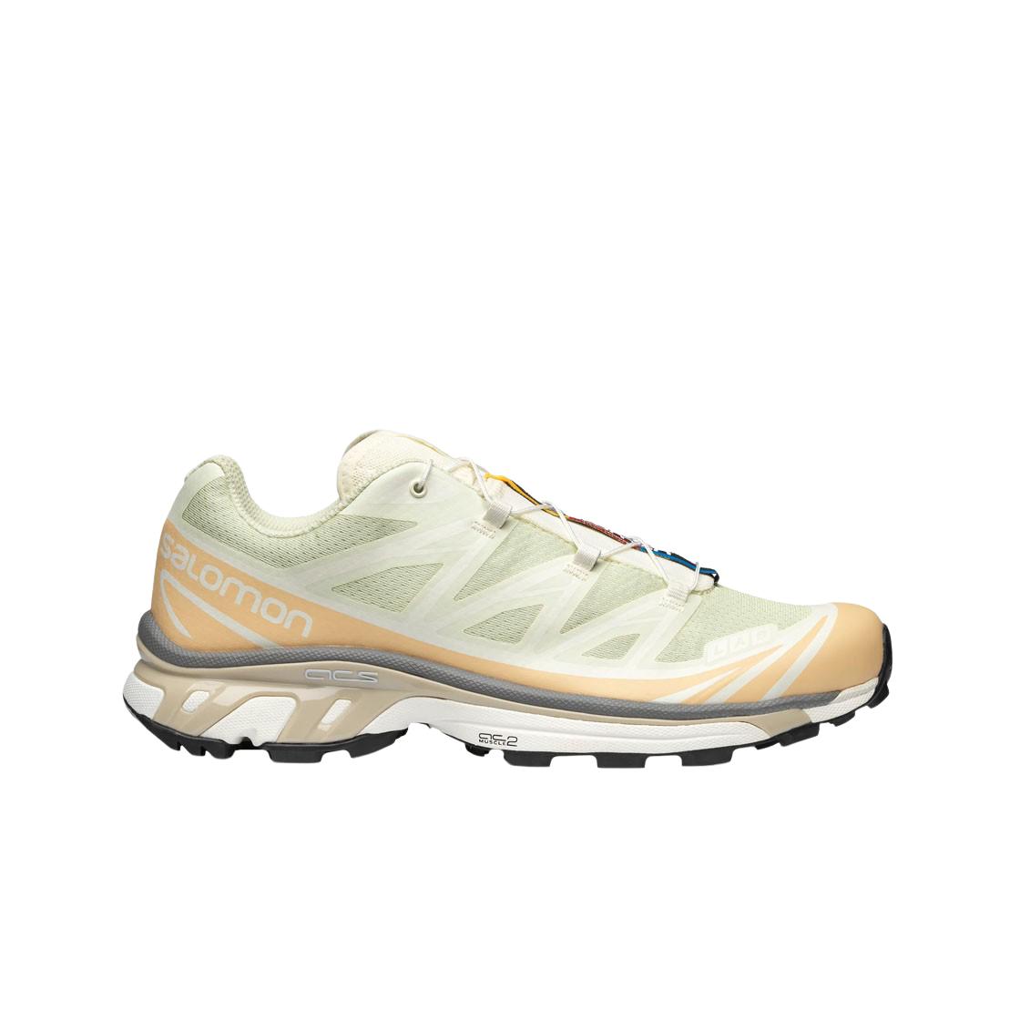 

Salomon Xt-6 Aloe Wash Hazelnut 285