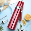 304 Stainless Steel Portable Insulated Bullet Head Thermal Water Bottle, Large Capacity
