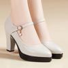 Escarpins pour Femmes à Boucle Unique, Confortables pour Cheongsams, Chaussures en Cuir à Talon Épais pour Défilés de Mode, Chaussures Simples d'Automne