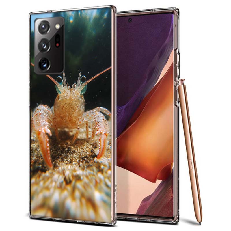 

A Beautiful and Unique Look at a Common Shrimp Phone Case for Samsung A55 A35 A25 A15 A07 A05S A16 A17 A26 A36 A37 A56 A57 Galax Samsung Note 10 Lite