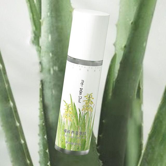 XUNHUIJI - Aloe Vera Fresh Gel Jumbo 200g