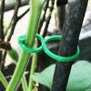 20/50/100Pcs Garden Vine Strapping Clips Plastic Bundled Buckle Ring Tomato Flowers Plant Stems Fixing Tie Garden Accessories
