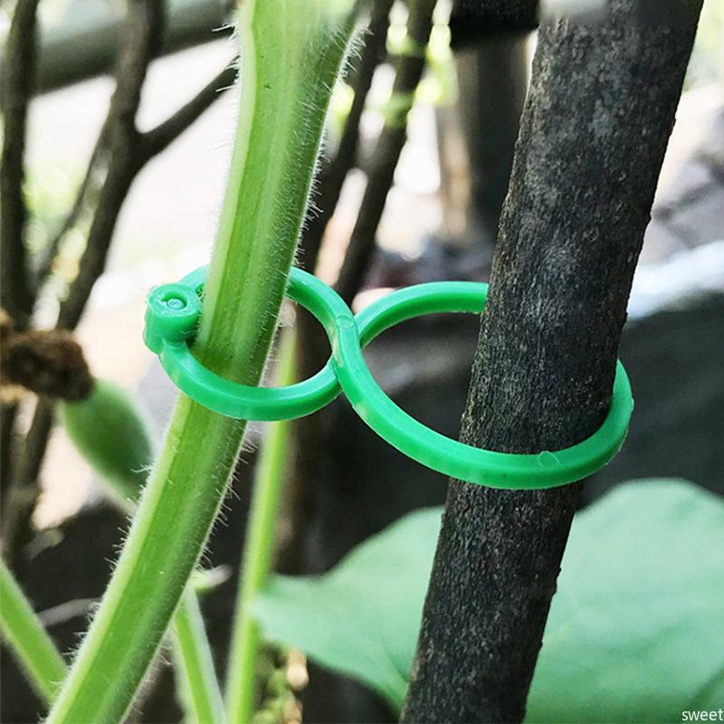 20/50/100Pcs Garden Vine Strapping Clips Plastic Bundled Buckle Ring Tomato Flowers Plant Stems Fixing Tie Garden Accessories