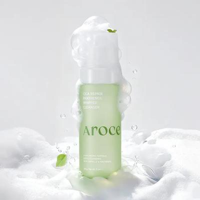 [Sanft Beruhigend] Cica Repair Panthenol Schaumreiniger 160g