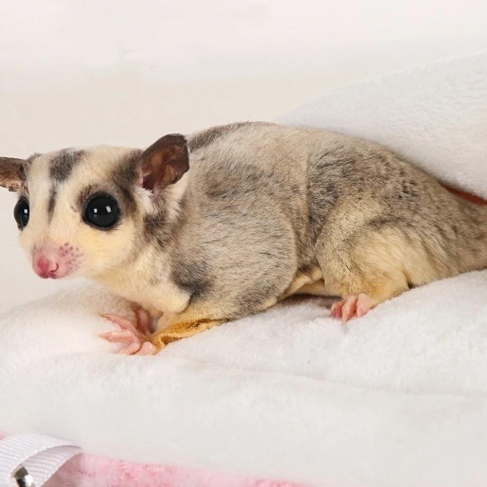 Velvet Hamster Plush Hammock Thicken Sugar Glider Hanging Hammock Pet Hideout Bed  Winter