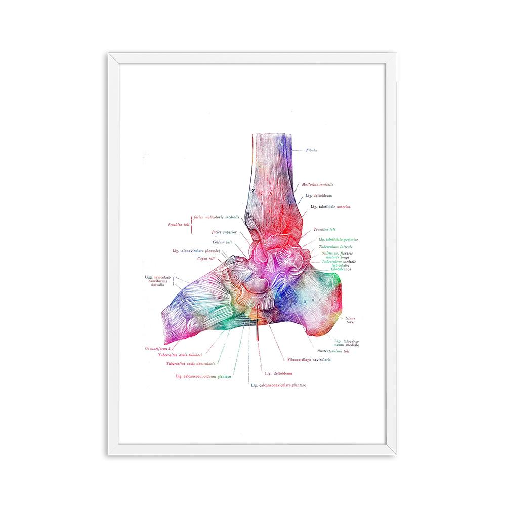 Foot Bones Anatomy Poster Podiatry Art Medical Print Canvas Painting Posters And Prints Wall Pictures For Gift Doctor Office Dec