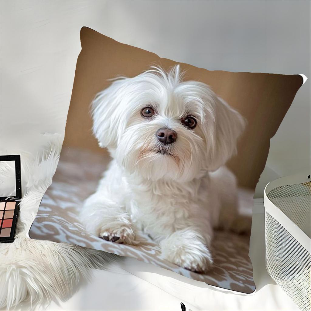 1 Stück Malteser Hund Liegend Niedlich Thema Gedruckter Kissenbezug, Geeignet für Sofa, Schlafzimmer, Wohnzimmer, Heilendes Geschenk für Hundeliebhaber