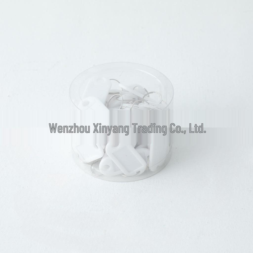 Colorful Detachable Plastic Key Tag Keyring for Office & Home Management